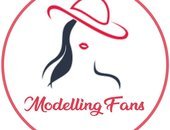 MODELLING FANS