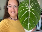 Yoga And Plant With Roos