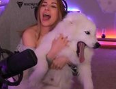 Alinity Highlights