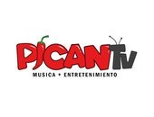 Pican Tv