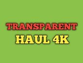 TRANSPARENT HAUL 4K  SEE THROUGH CLOTHES TRY ON