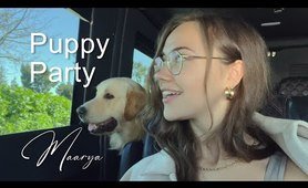 Puppy Birthday Party #Maarya #Vlog #Malibu