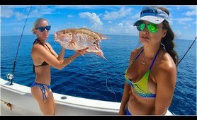 Girls birthday SNAPPER Fishing turns into SHARK fishing!!