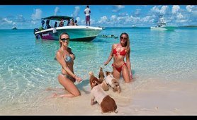 Bahamas Trip Day 1: Swimming with Pigs and Exploring islands