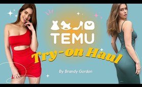 Temu Try On Haul