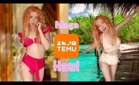 Mein erster TEMU Haul |  monokini Try on | Cosplay wig und plushies