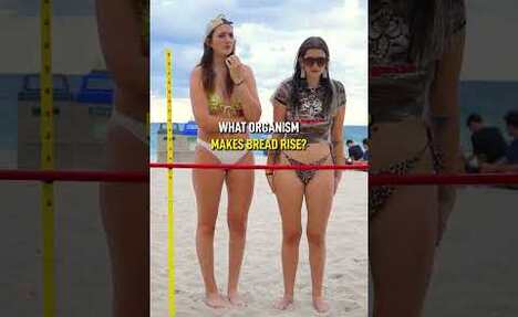 Beach Trivia